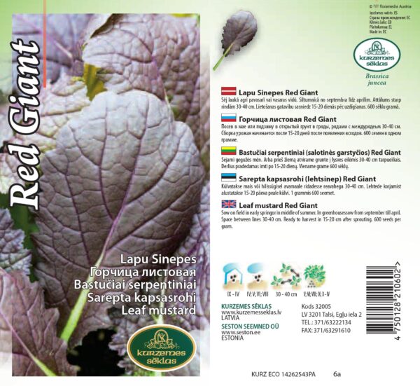 Sarepta sinep 'Red Giant'