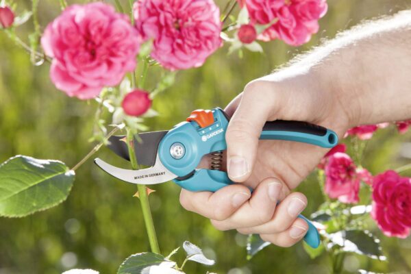 Oksakäärid Gardena Classic 22mm