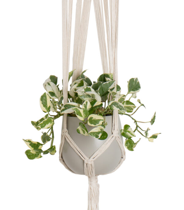 Lillepotihoidja Macrame seinale 110cm valge