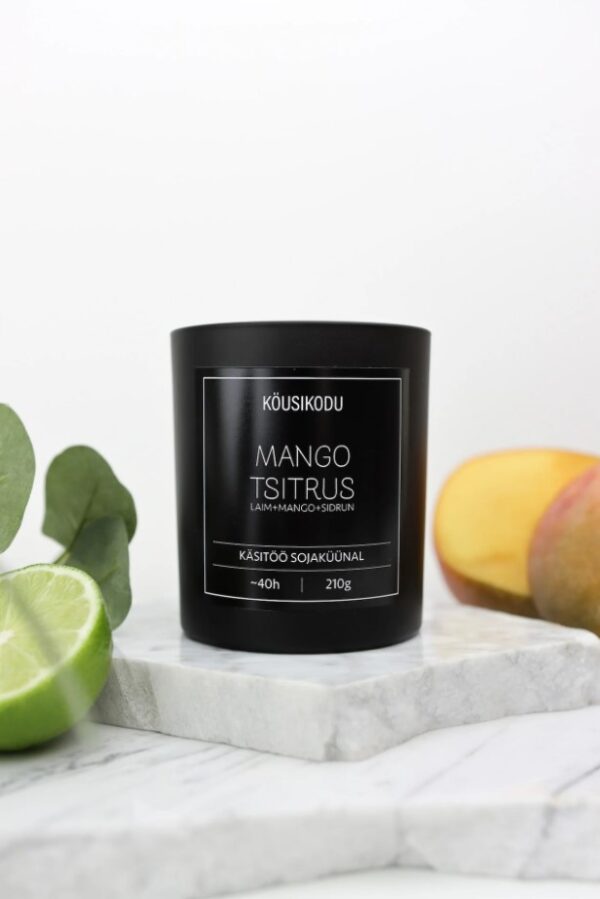Lõhnaküünal Mango Tsitrus 210g