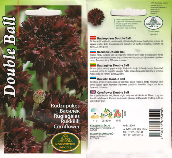 Rukkilill 'Double Black Ball'