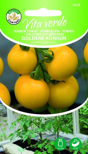 Tomat ‘Goldene Königin’