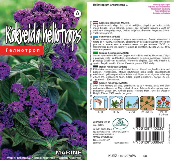 Harilik heliotroop 'Marine'