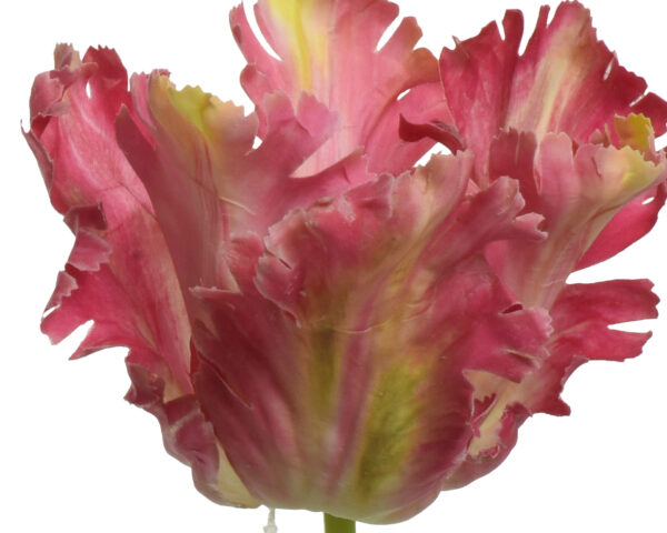 Kunstlill tulp 13x10x68cm fuksiaroosa