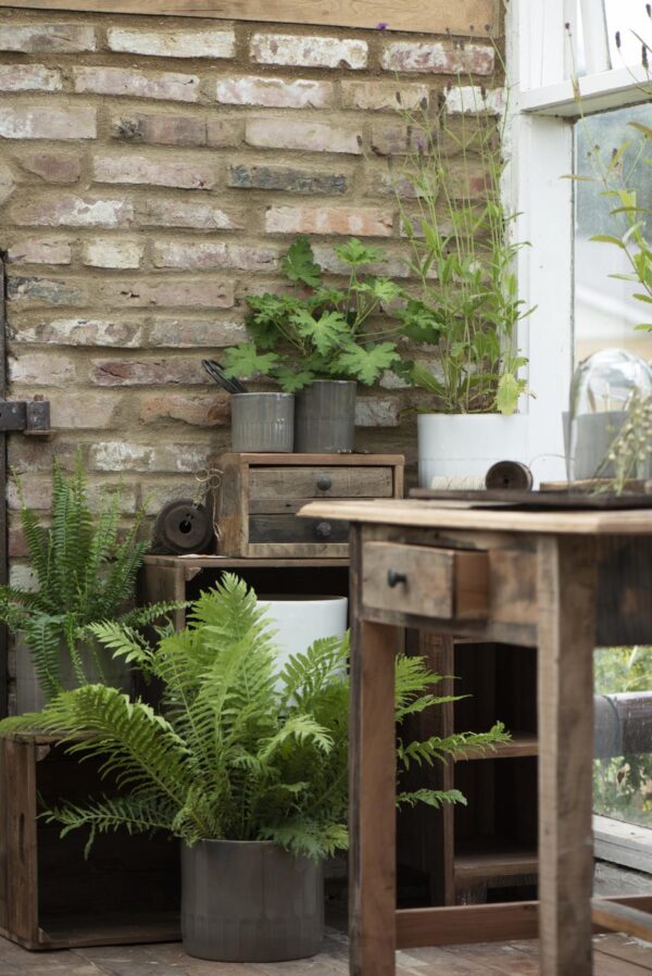 Lillepott North Sea Ø14,3x h13cm hall