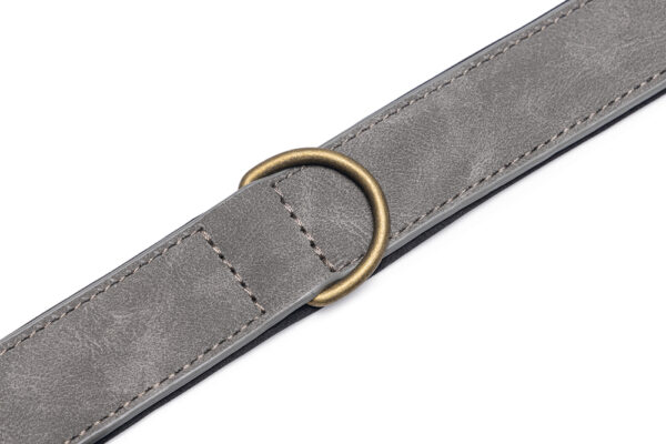 Kaelarihm Beeztees koerale AX 52-62x3cm hall