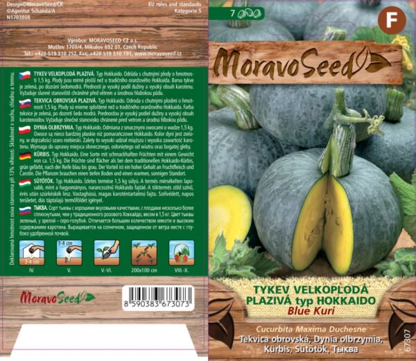 Hokkaido kõrvits 'Blue Kuri'