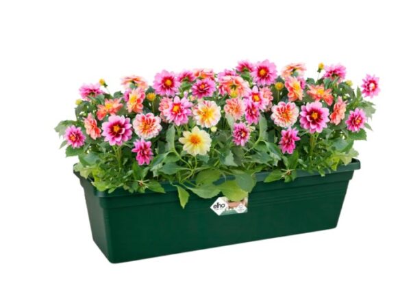 Rõdukast Green Basics 60cm leheroheline