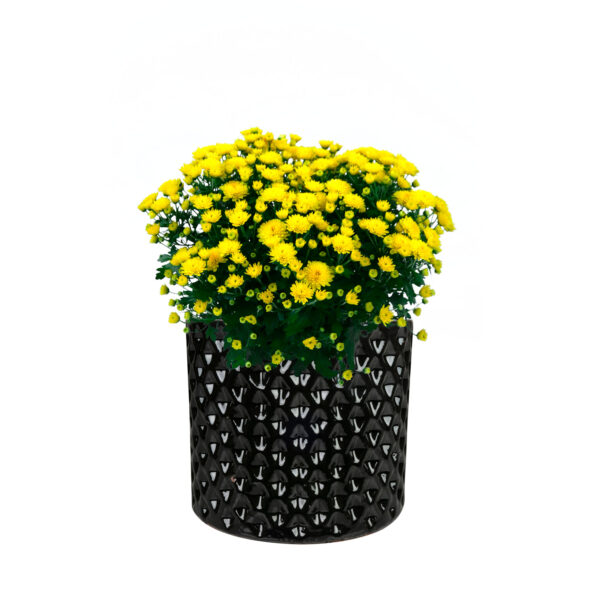 Õuepott Dion d24xh21cm must