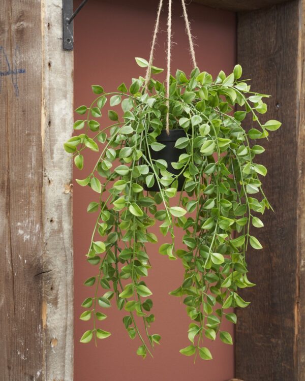 Kunsttaim viigipuu rippuv 81x24cm roheline