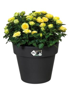 Istutuspott Green Basics  47cm tumehall