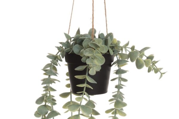Kunstlill eukalüpt rippuv potis 56cm