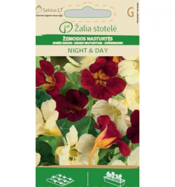 Mungalill 'Dwarf Night & Day' Mix Yellow & Mahony