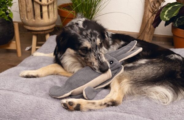 Mänguasi koerale SQUID GREY 56