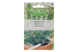 Harilik rosmariin 45s