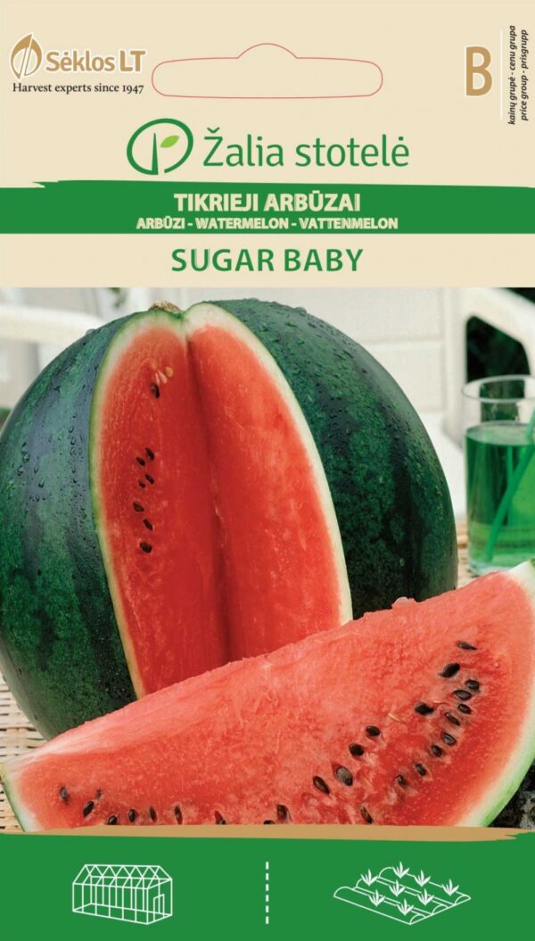 Arbuus 'Sugar Baby' B