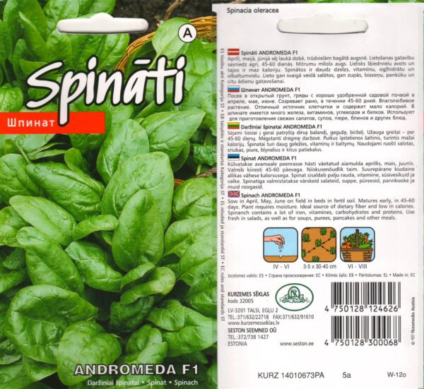 Spinat 'Andromeda F1' 2g