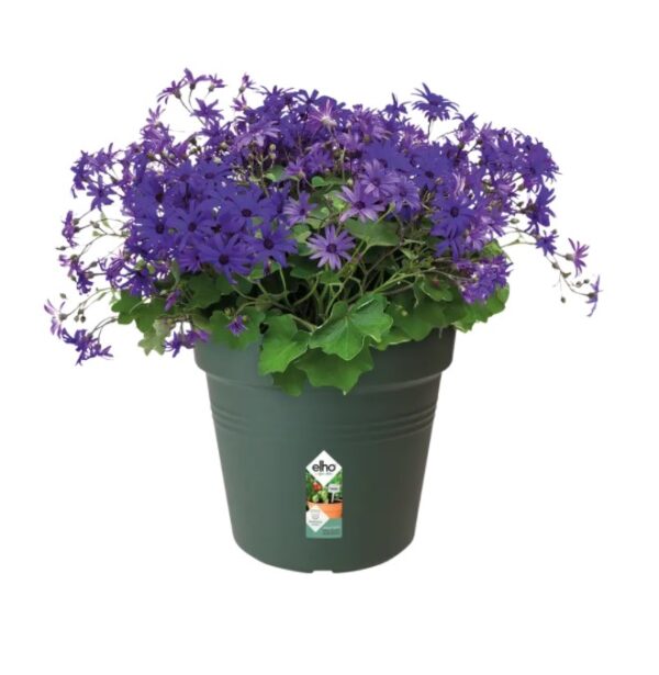 Istutuspott Green Basics 21x19cm leheroh