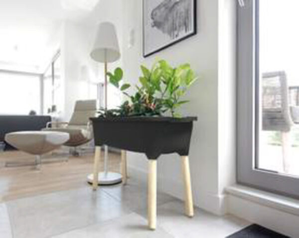 Kasvatuskast jalgadel antratsiit 78x80cm