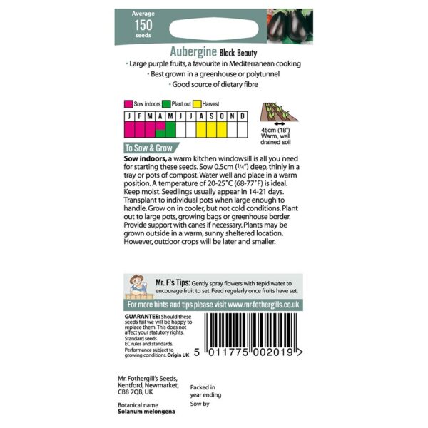 Baklažaan 'Black Beauty' 150s