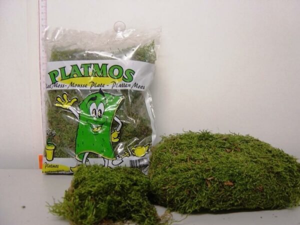 Sammal kotis Platmos