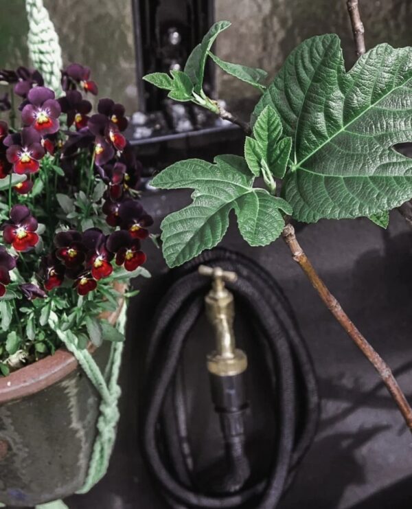 Aiavooliku komplekt Deluxe byBenson must 15m