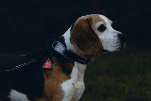 Helkur BZ poopy LED 5x4cm