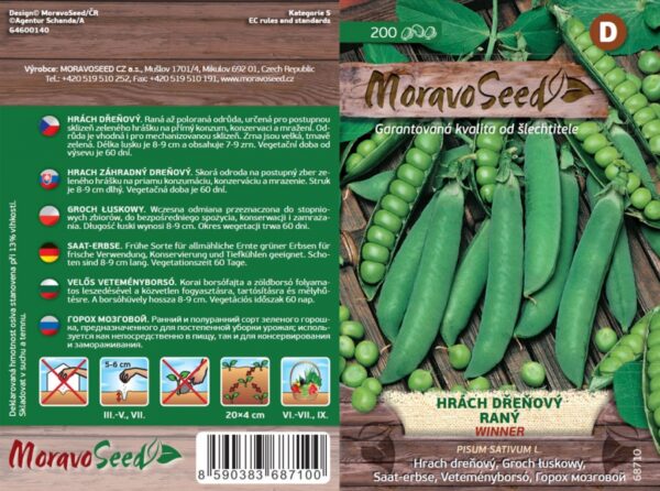 Aedhernes 'Winner/Sienna'