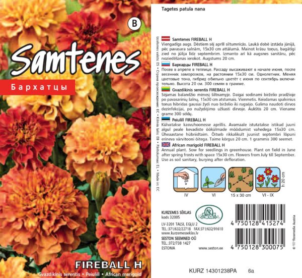 Madal peiulill 'Fireball' F1