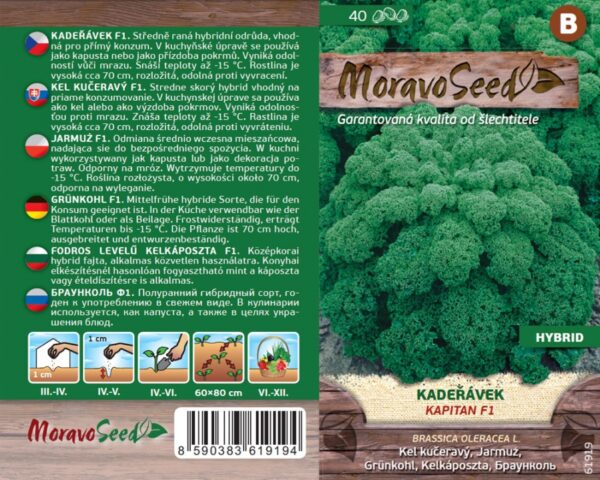 Lehtkapsas 'Kapitan' F1