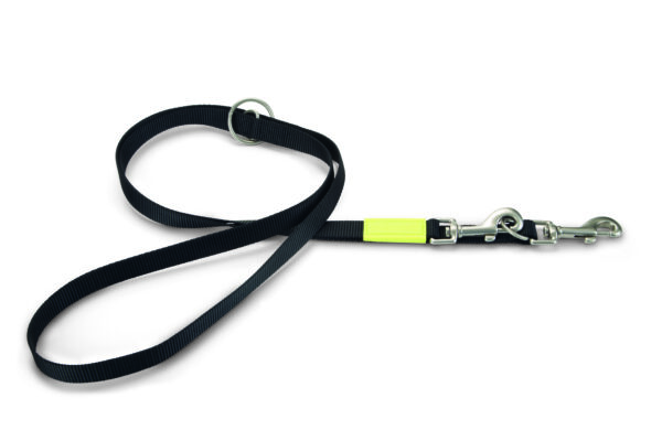 Beeztees treeningrihm koerale 200cm x20mm must universaalne nailon