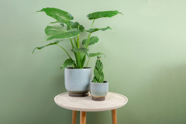 Lillepott Linn Ø17x h17cm sinine