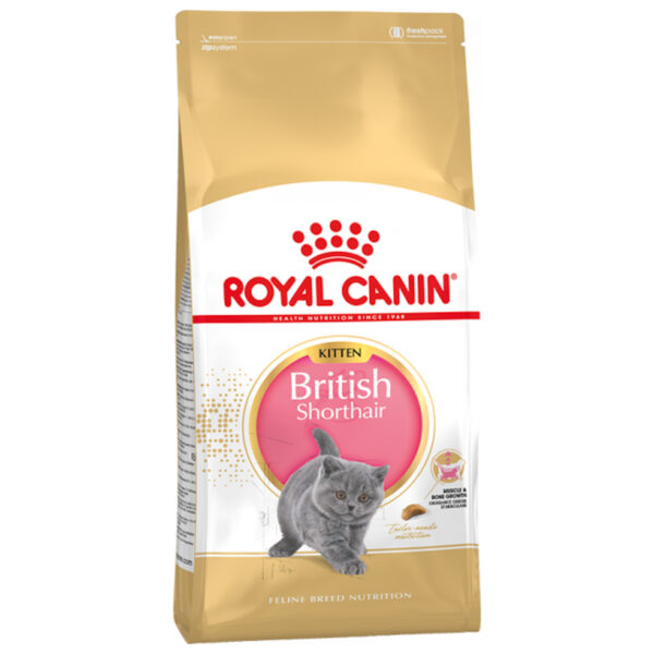 Royal Canin kuivtoit briti lühikarvaline kassipojale 2kg