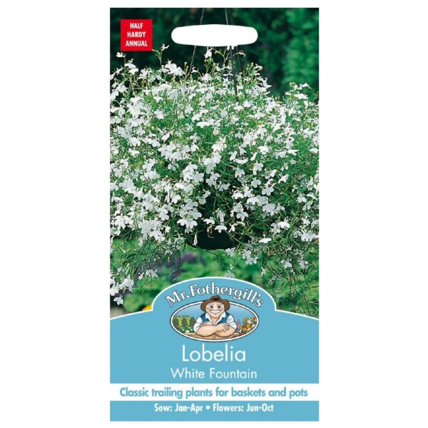 Lobeelia 'White Fountain'