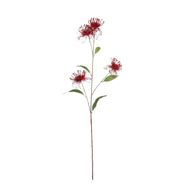 Kunstlill Proteaceae punane  l87cm