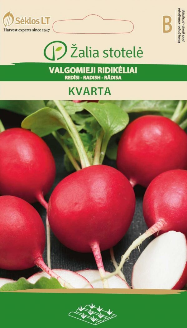 Redis 'Kvarta'