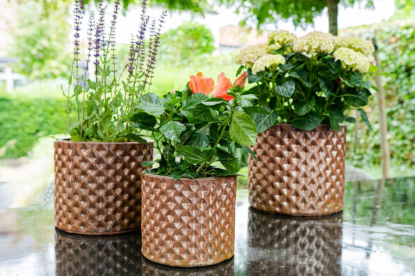 Õuepott Dion d19xh16cm pronks