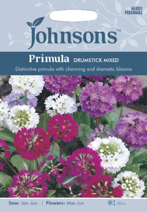 Hambulislehine priimula 250s