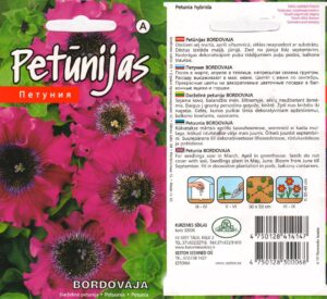 Petuunia ‘Bordovaja’