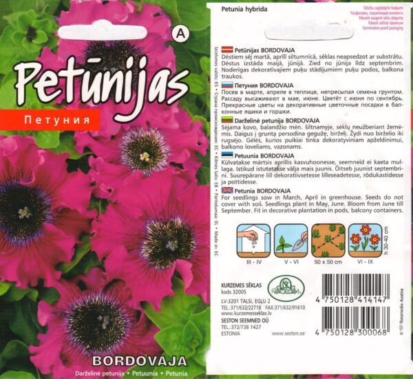 Petuunia 'Bordovaja'