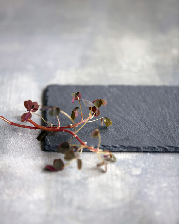 Plaat kiltkivist 20x12cm