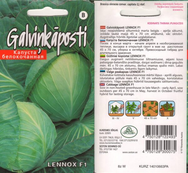 Valge peakapsas 'Lennox' F1 30s