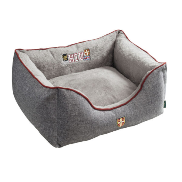 Pesa University 80x60 cm