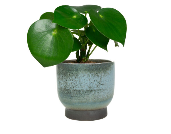 Lillepott Linn Ø17x h17cm sinine