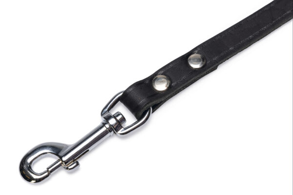 Jalutusrihm BZ nahast 200cm x 20mm must