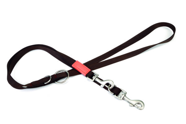 Beeztees koolitusrihm koerale 200cm x20mm tumepruun nailon