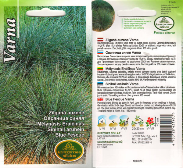 Sinihall aruhein 'Varna'