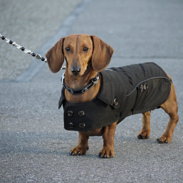 Jalutusrihm Fashion 125cm must