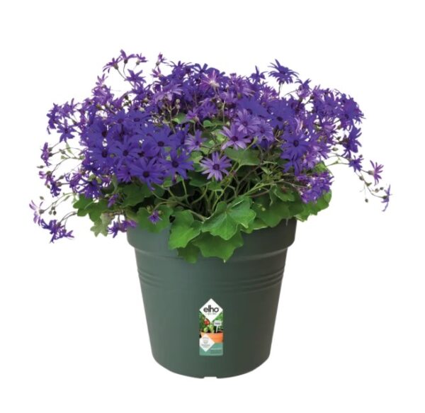 Istutuspott Green Basics 13x12cm leheroheline