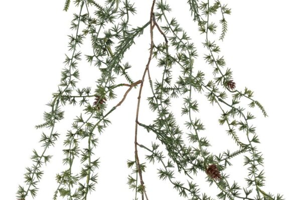 Vanik mänd 11x8x h160cm roheline